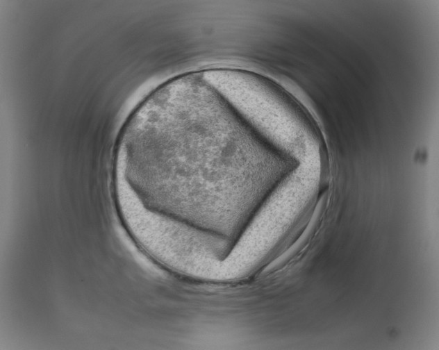 X0000112731005200909171123