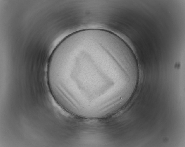 X0000112731006200909171123