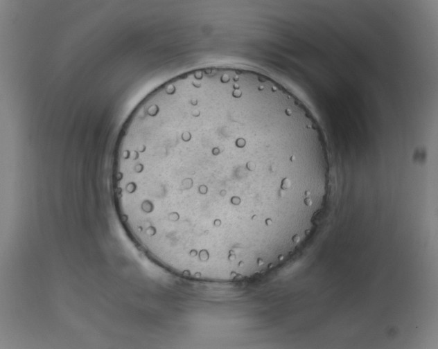 X0000112731007200909171123
