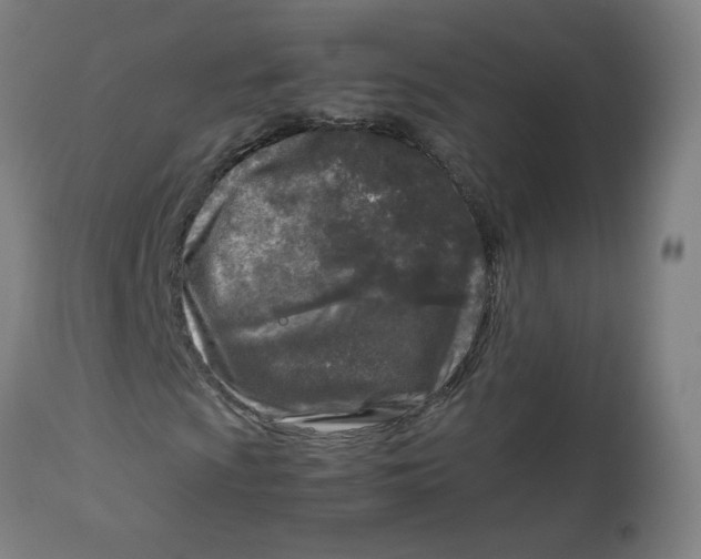 X0000112731009200909171122