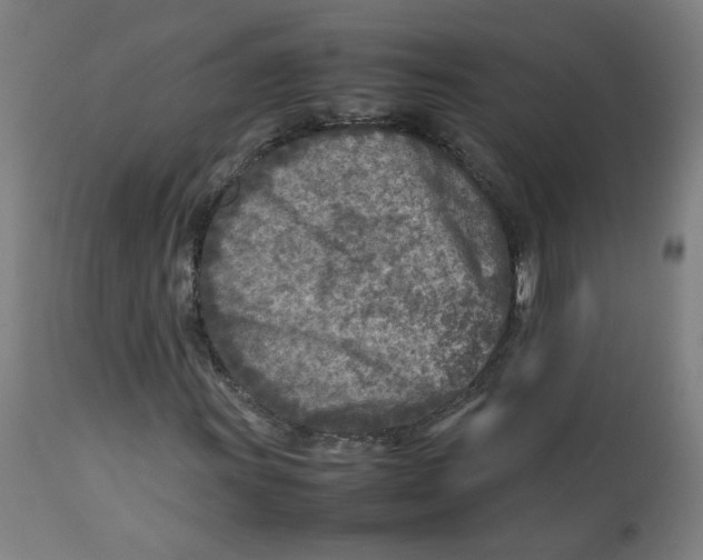 X0000112731011200909171122