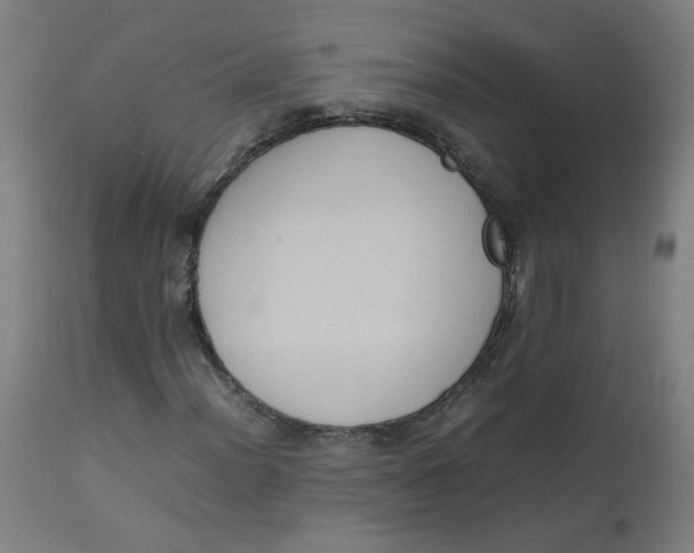 X0000112731012200909171122