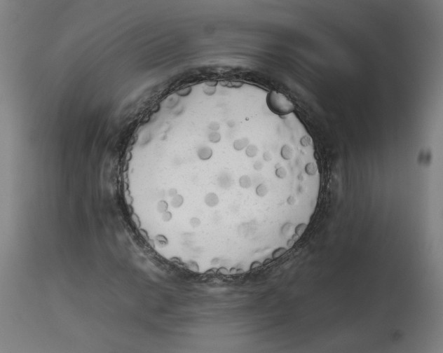 X0000112731014200909171122