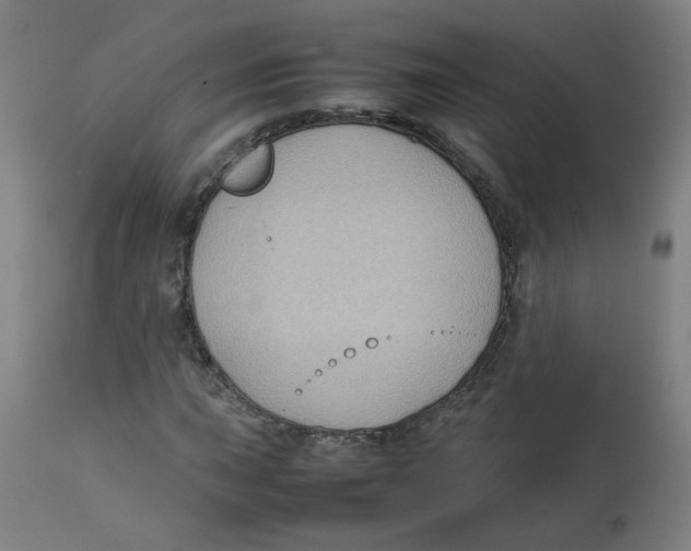 X0000112731015200909171122