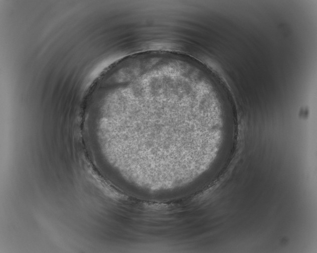 X0000112731019200909171122