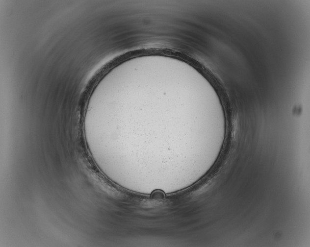 X0000112731021200909171122