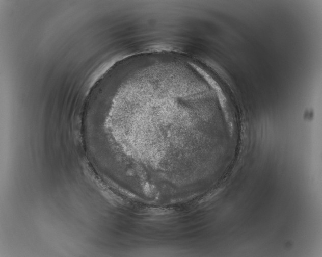 X0000112731023200909171122