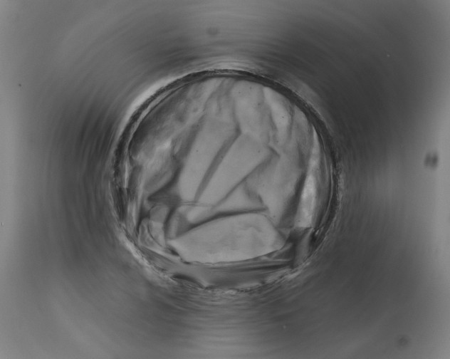 X0000112731024200909171122
