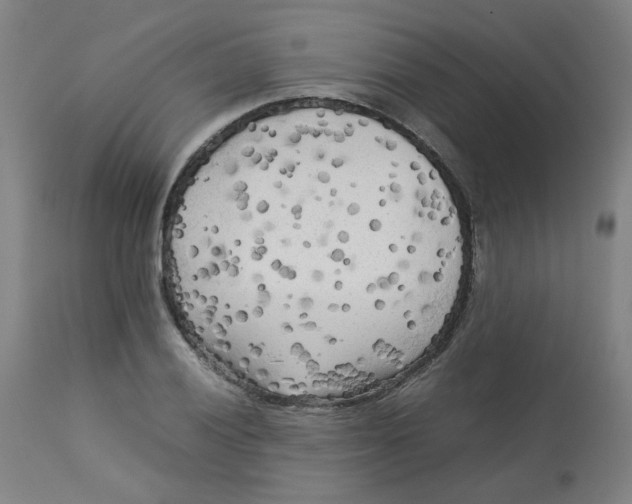 X0000112731028200909171122