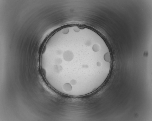 X0000112731030200909171122