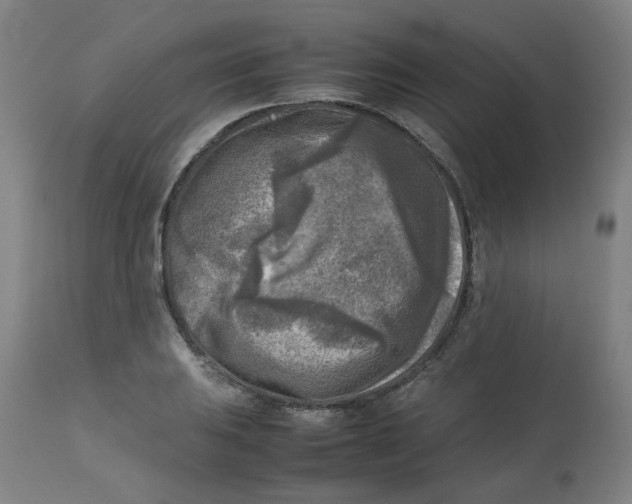 X0000112731031200909171122