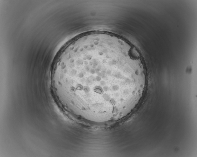 X0000112731032200909171122