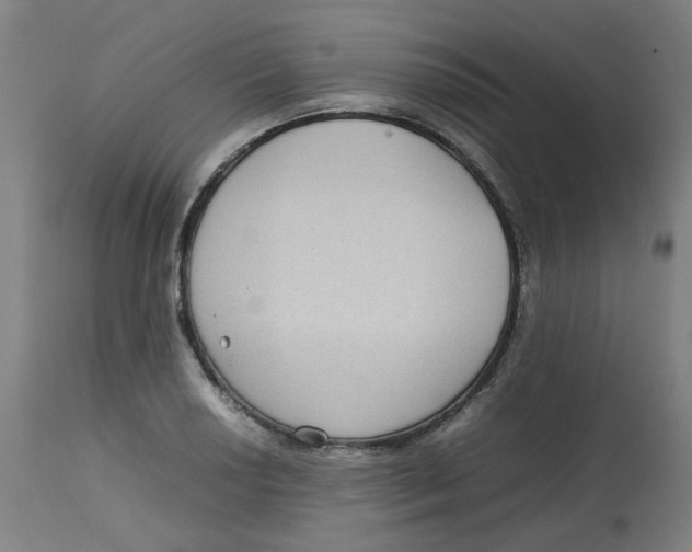 X0000112731034200909171122