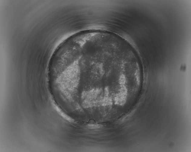 X0000112731037200909171122