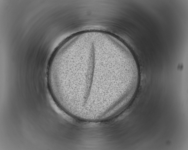 X0000112731038200909171122