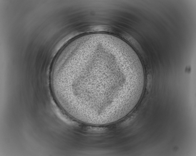 X0000112731039200909171122