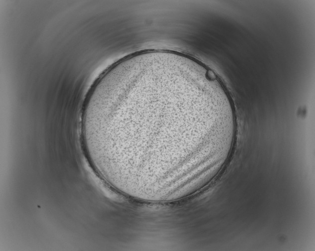 X0000112731040200909171122
