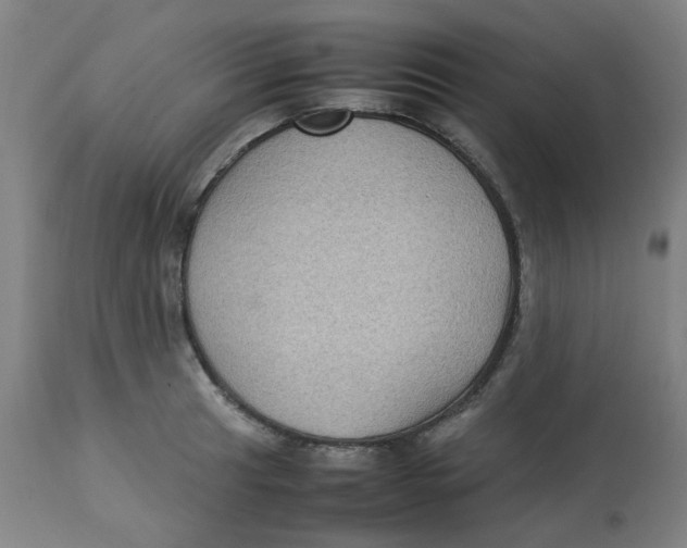 X0000112731041200909171122