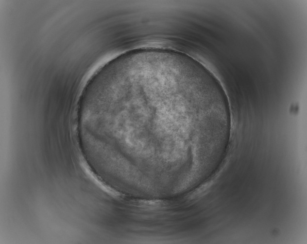 X0000112731045200909171122