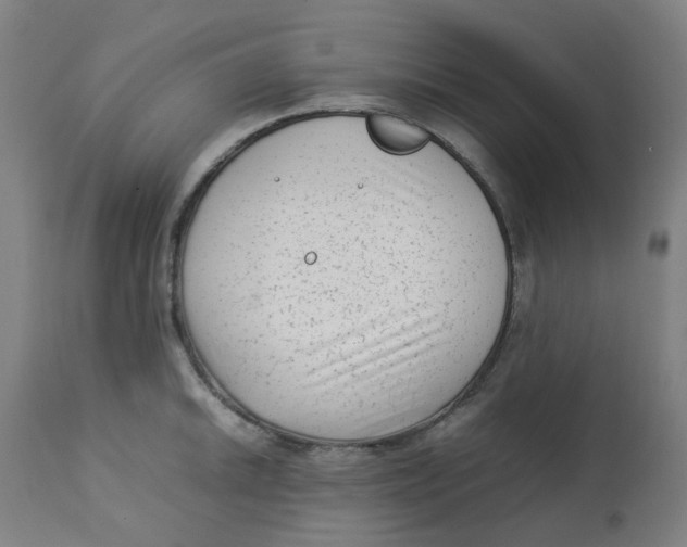 X0000112731046200909171123