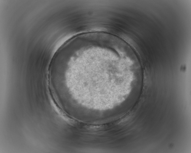 X0000112731047200909171123