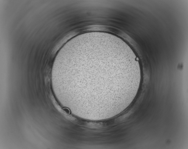 X0000112731049200909171123