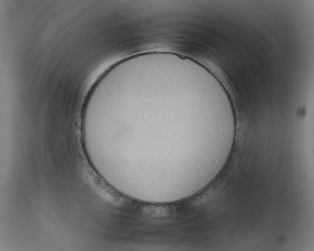 X0000112731051200909171123