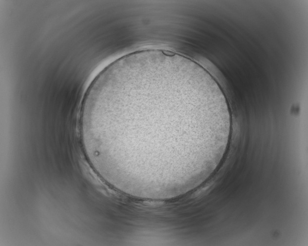 X0000112731052200909171123