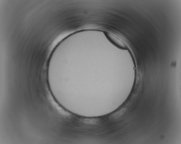X0000112731053200909171123