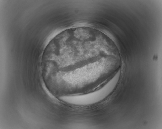 X0000112731055200909171123