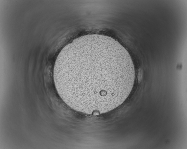 X0000112731059200909171122