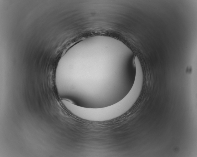 X0000112731060200909171122