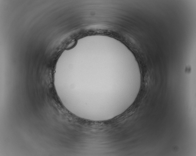 X0000112731062200909171122