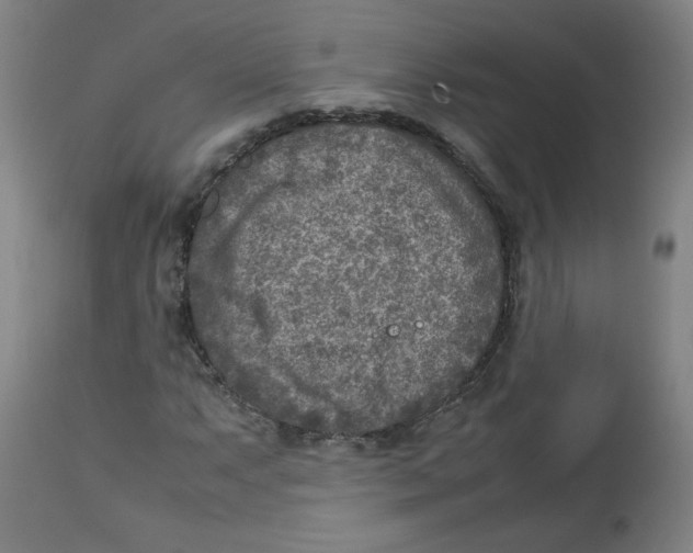 X0000112731063200909171122