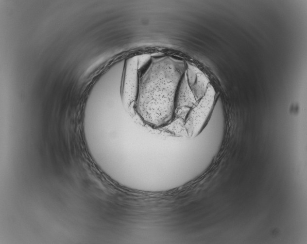 X0000112731064200909171122