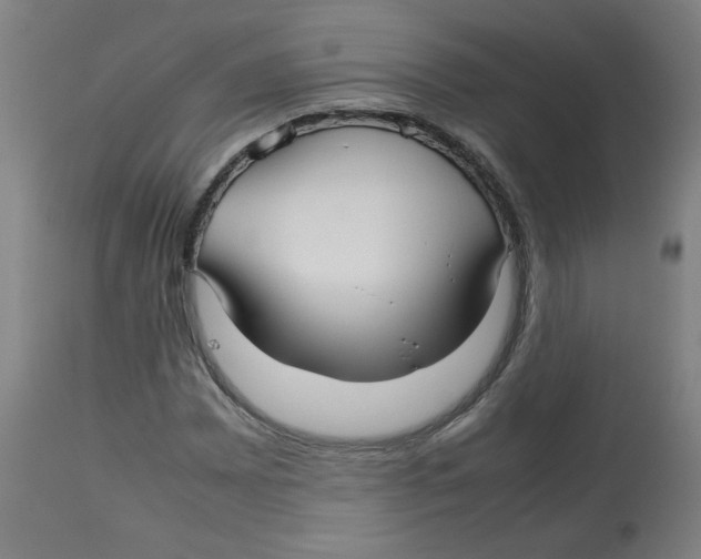 X0000112731065200909171122