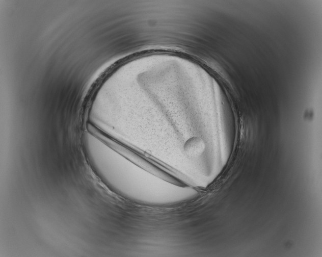 X0000112731068200909171122