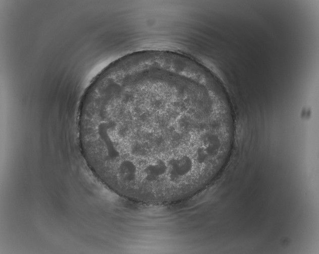 X0000112731071200909171122