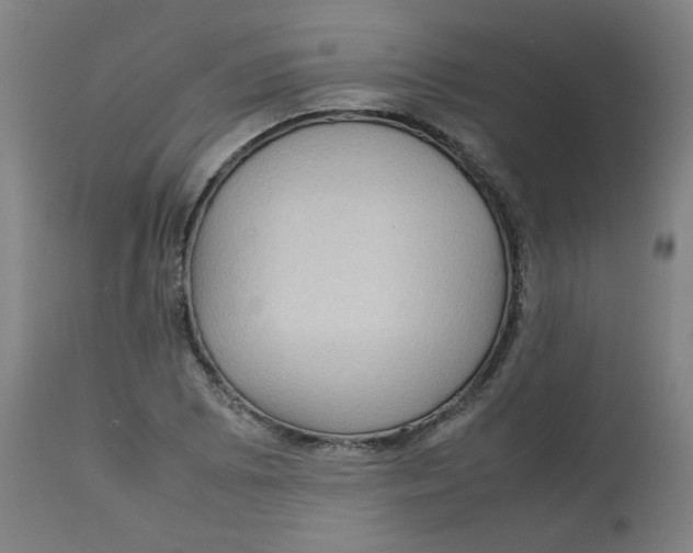 X0000112731073200909171122