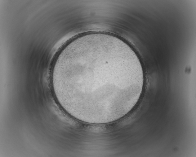 X0000112731074200909171122