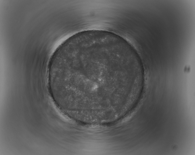 X0000112731077200909171122