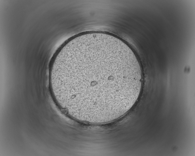 X0000112731079200909171122