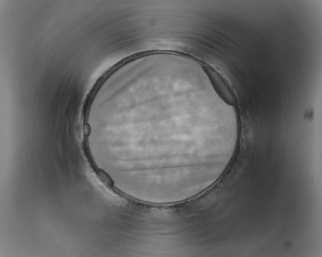 X0000112731080200909171122