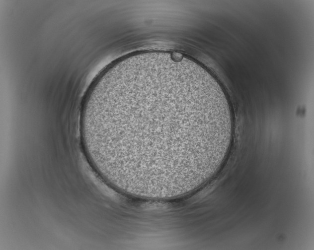 X0000112731083200909171121