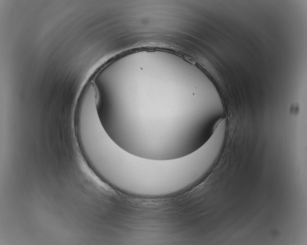 X0000112731084200909171121