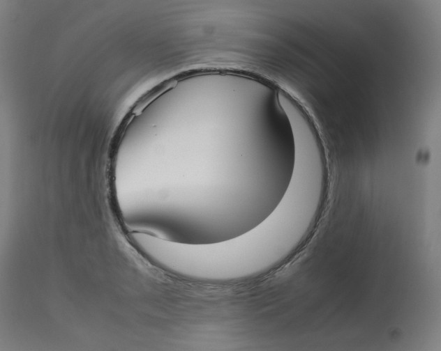 X0000112731085200909171121