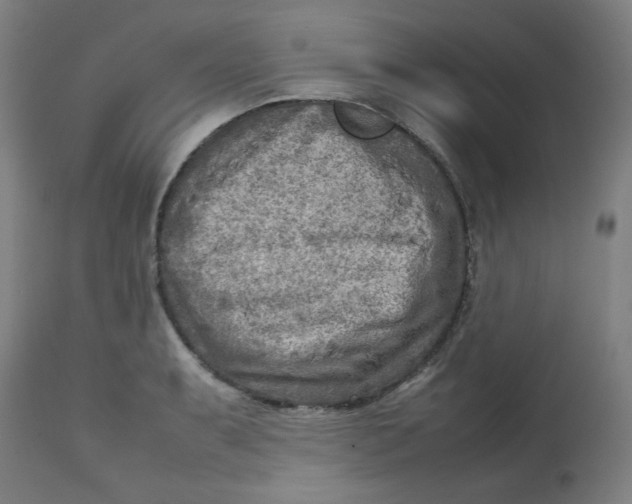 X0000112731087200909171121