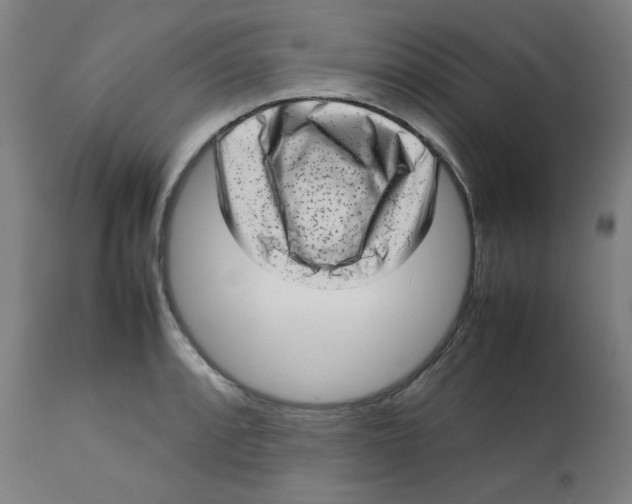 X0000112731088200909171121