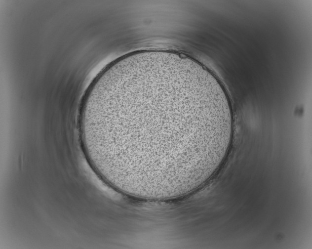 X0000112731091200909171121
