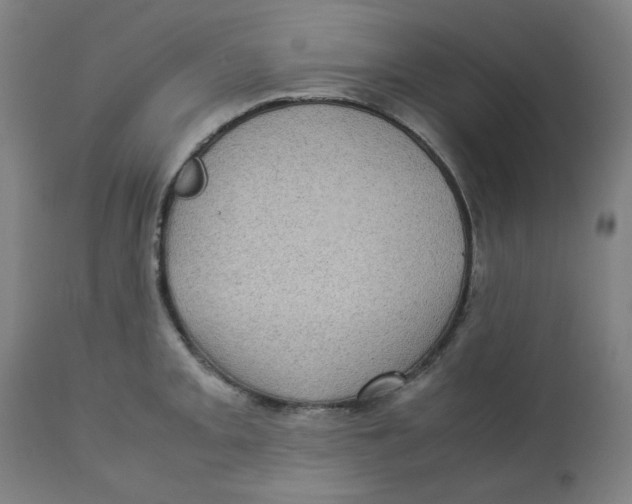 X0000112731093200909171121